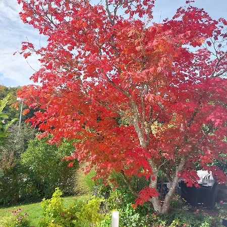 公寓 Josi , 64 Qm 2 布拉河畔的海登海姆