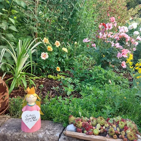 Josi , 64 Qm 2 布拉河畔的海登海姆