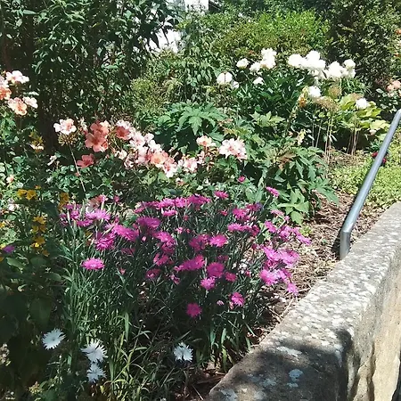 Apartamento Josi , 64 Qm 2