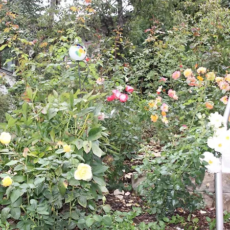 Apartamento Josi , 64 Qm 2 *