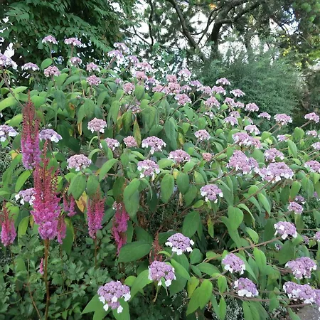 Josi , 64 Qm 2 * 布拉河畔的海登海姆