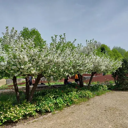 Josi , 64 Qm 2 Heidenheim an der Brenz