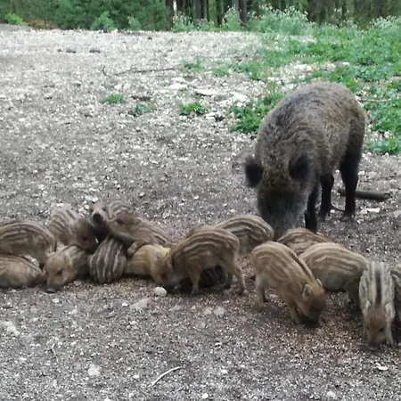 公寓 Josi , 64 Qm 2