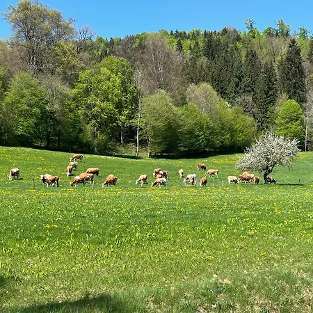 Apartamento Josi , 64 Qm 2 *